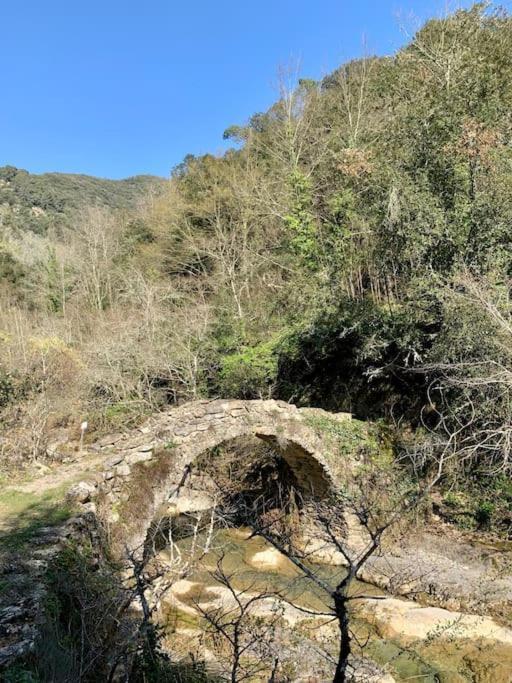 Casa Bertagna Apartman Rocchetta Nervina Kültér fotó